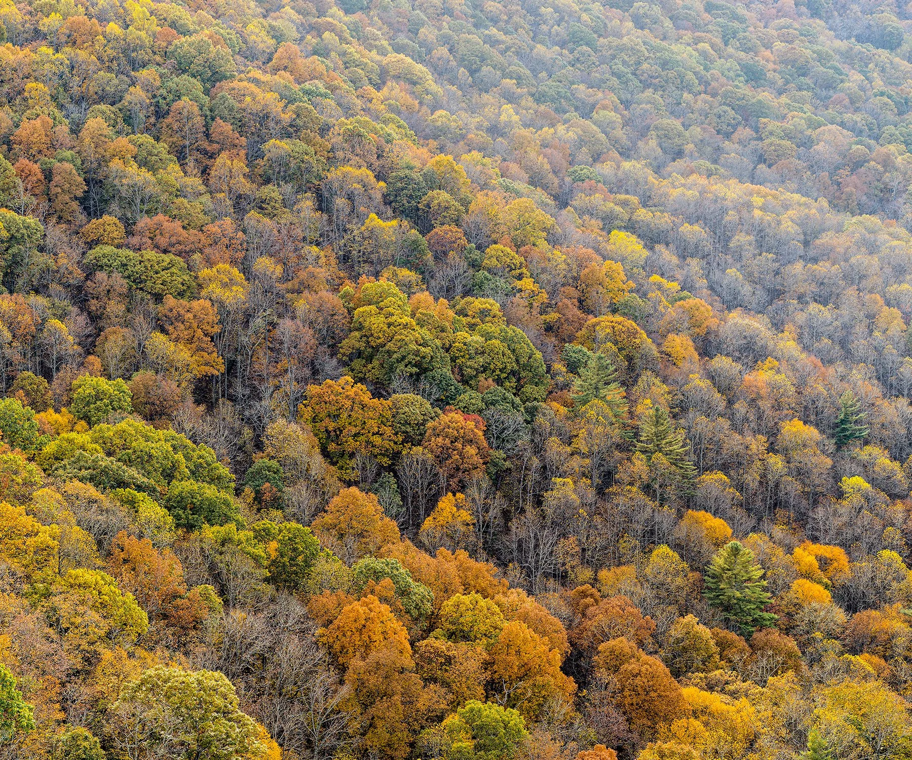 Above Sugarloaf Mountain (2021)